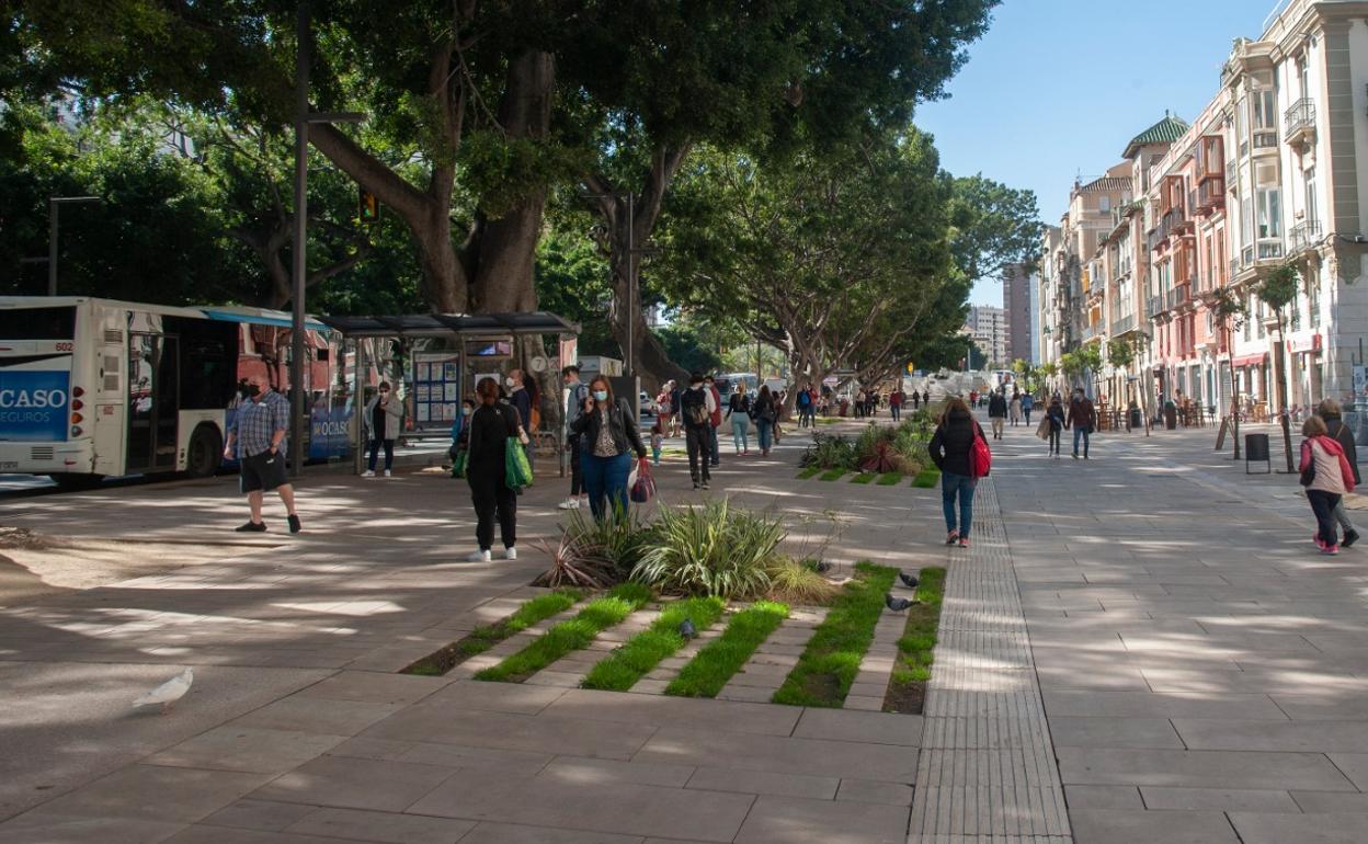 Personas Con Discapacidad Y Ciclistas Rechazan Por Peligroso El